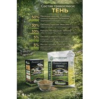 Семена АГРОСЕМСЕРВИС Тень (10 кг)