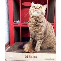 Когтеточка Чешир Мини (бежевый)