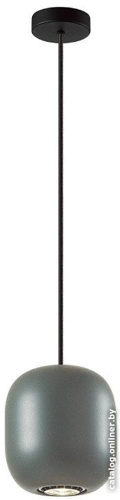 Подвесная люстра Odeon Light Cocoon 5060/1EA