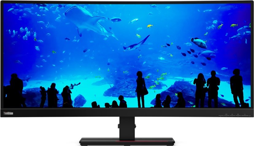 

Монитор Lenovo T34w-20 61F3GAT1EU