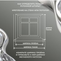 Рулонные шторы Franc Gardiner Blackout Silver 55x250 9403219745 (серый)