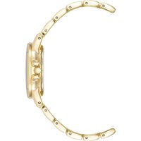 Наручные часы Anne Klein 4132PYGB