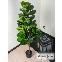 Искусственное растение Merry Bear Home Decor Фикус Лировидный AX297145