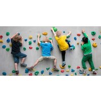 Зацепы для скалодрома Kampfer малые (5 шт)