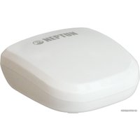 Датчик Neptun Smart 868