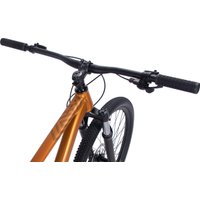 Велосипед Aspect Nickel 29 XL 2025 (золотистый)