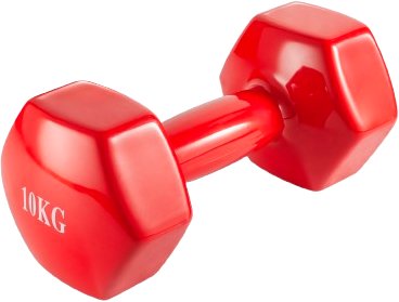 Гантель VictoryFit VF-DV100 10 кг