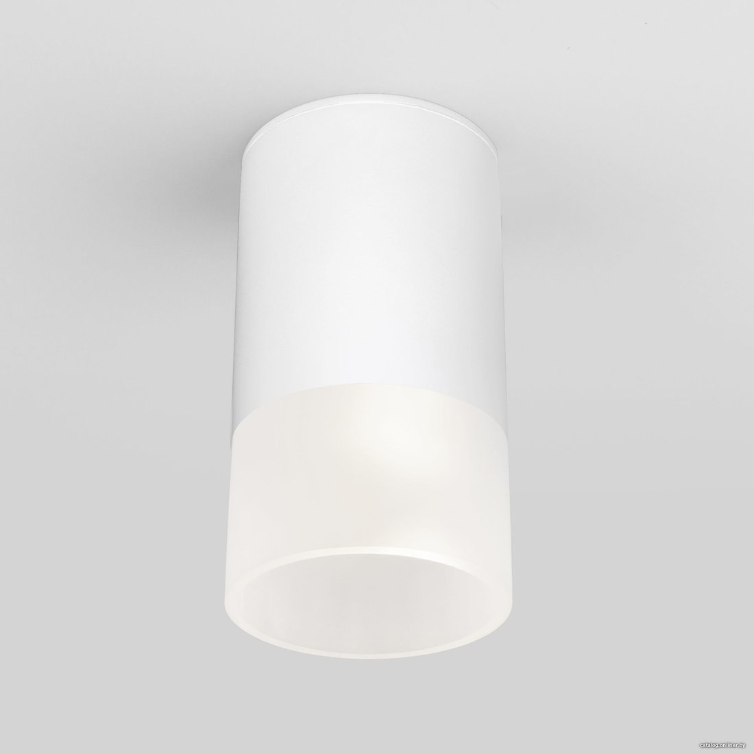 Уличный накладной светильник Elektrostandard Light 2106 35139/H (белый)