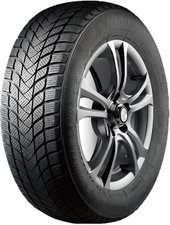 Winter Lander 225/50R17 98H