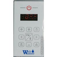 Душевая кабина WeltWasser WW500 Emmer 12055