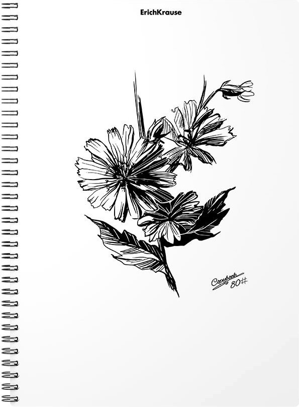 

Общая тетрадь Erich Krause Blossom Black and White 80 л клетка 54119