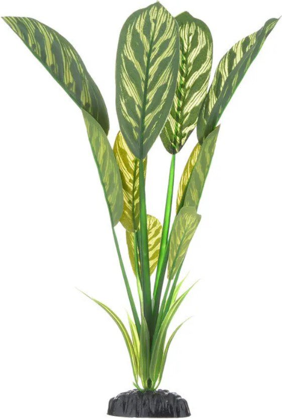 

Искусственное растение Barbus Диффенбахия тигровая Plant 036/10