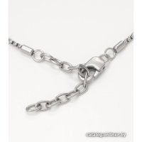 Кулон Fossil JF04098040