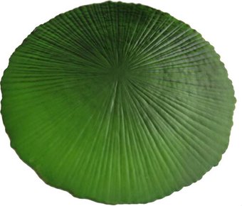 Предметы сервировки MonAmi TL2-308