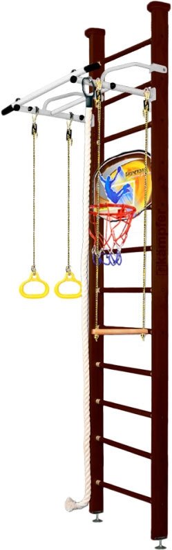 

Детский спортивный комплекс Kampfer Helena Ceiling Basketball Shield (3 м, шоколадный/белый антик)