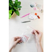 Алмазная мозаика  Феникс+ Пионы 68628