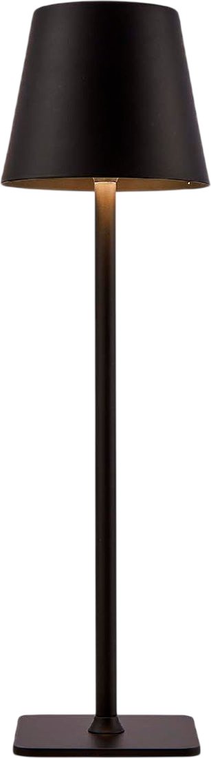 Настольная лампа F-Promo Pyari 4615-1T