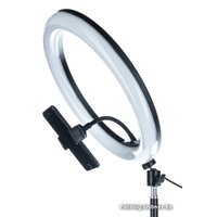 Кольцевая лампа NetStar MJ-26 33см + штатив