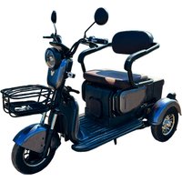 Электроскутер VOLT TRIO (черный)