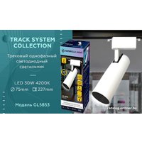 Трековый светильник Ambrella light Track System GL5853 WH/BK