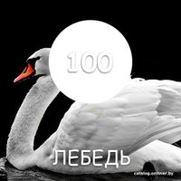 Краска Maxima 2.5 кг (№100 белый лебедь)