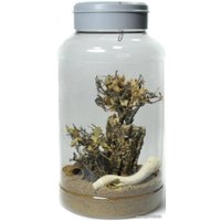 Террариум Lucky Reptile Insect Tarrium 5 л