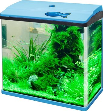 Аквариум Silver Berg Standart 30 л (синий)