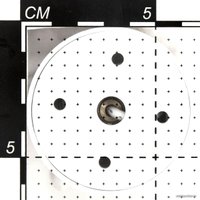 Подвесная люстра Citilux Тубус CL01PBL120N