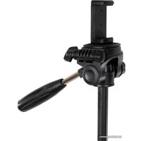 Трипод Raylab Travel 55 (с головой)