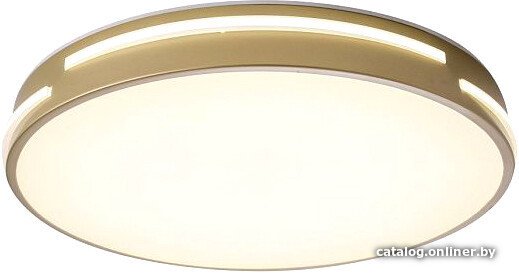 Светильник-тарелка Zortes Gabby ZRS.90610.40
