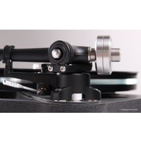 Виниловый проигрыватель Rega Planar 8 (Ania)