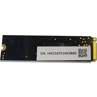 SSD Horizont H-Storage 256GB HSA4300-256G