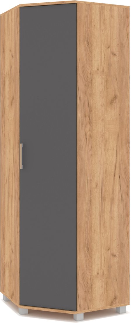 

Шкаф распашной Modern Карина К57 (золотой дуб/графит)