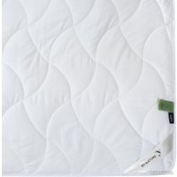 Одеяло ИвШвейСтандарт Bamboo MN-01/300-B-140 140x205 в Могилеве