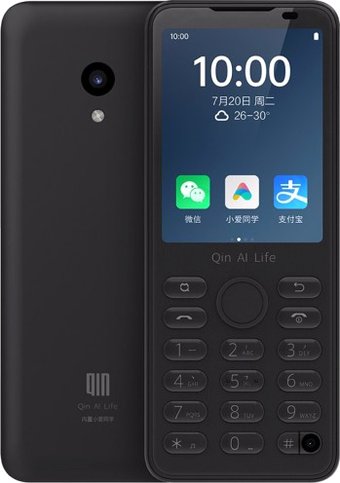 Кнопочный телефон QIN F21 Pro 3GB/32GB (международная версия, черный)