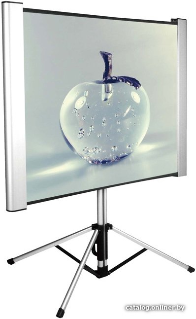 Проекционный экран CACTUS TriAlExpert 102x180 CS-PSTALE-180X102