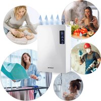 Осушитель воздуха Berdsen BR-22A (белый)