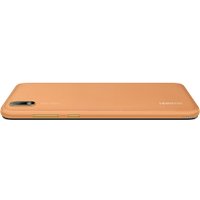 Смартфон Huawei Y5 2019 AMN-LX9 Dual SIM 2GB/32GB (янтарный коричневый)