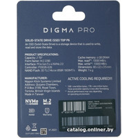 SSD Digma Pro Top P6 2TB DGPST5002TP6T6
