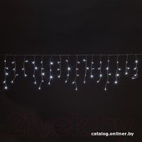 Светодиодная гирлянда Евросвет 100-001 (1.8x0.5м белый)