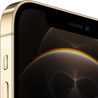 Смартфон Apple iPhone 12 Pro 128GB (золотой)