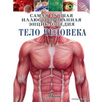 Книга издательства АСТ. Тело человека 978-5-17-110804-5 (Хибберт Клэр)