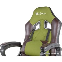 Игровое (геймерское) кресло Genesis Nitro 330 Military Limited Edition (зеленый/коричневый)