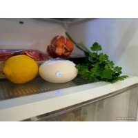 Озонатор Аксион SYO05 Mini