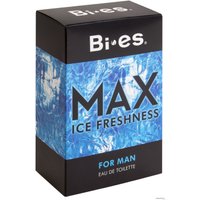 Туалетная вода BI-ES Max Ice Freshness EdT 100 мл