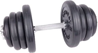 

Гантель Central Sport 24.5 кг
