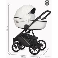 Универсальная коляска Riko Basic Montana Ecco (3 в 1, 11/белый)