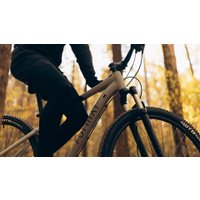 Велосипед Format 1415 29 M 2023 (черный матовый/бежевый матовый) в Гомеле