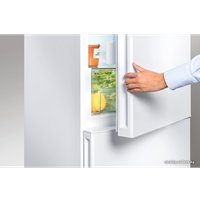 Холодильник Liebherr CNP 4313