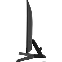 Игровой монитор Iiyama G-Master Black Hawk G2450HSU-B1 в Гродно